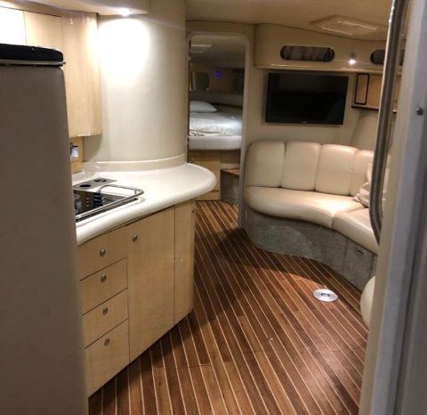 
								SEA RAY 40 full									