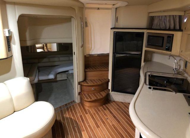 
								SEA RAY 40 full									