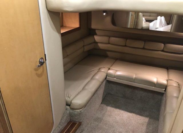 
								SEA RAY 40 full									