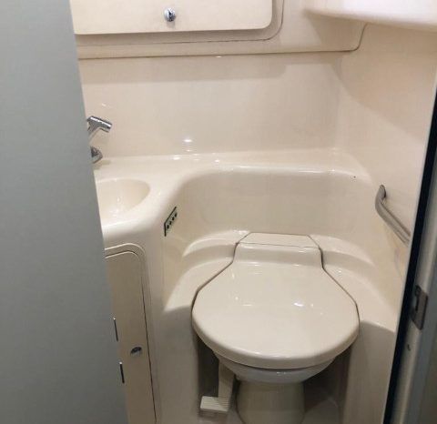 
								SEA RAY 40 full									