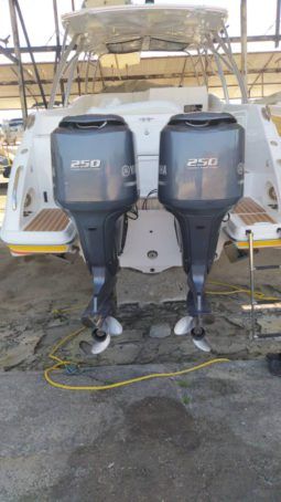 
										INTERMARINE 380 SPORT full									