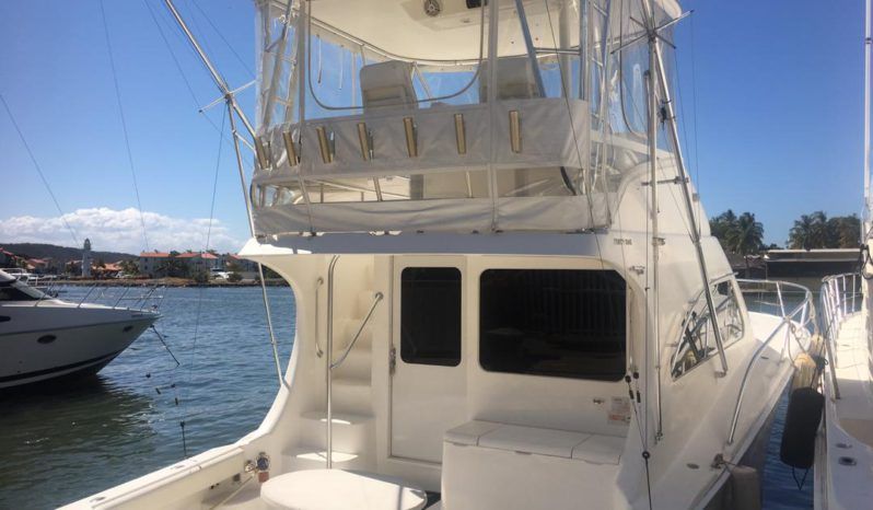 
								LUHRS 41 full									