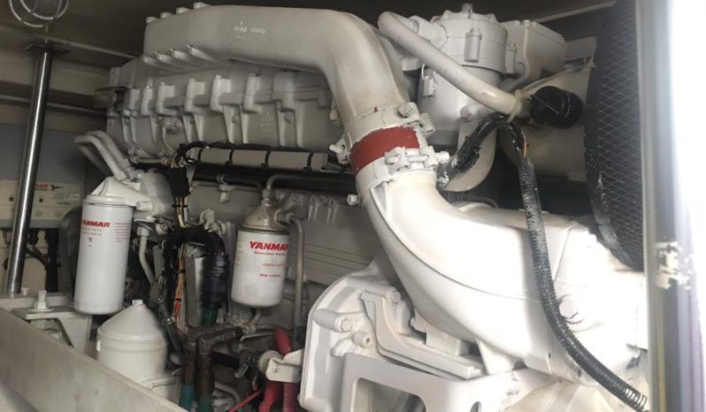 
								LUHRS 41 full									