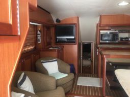 
										LUHRS 41 full									