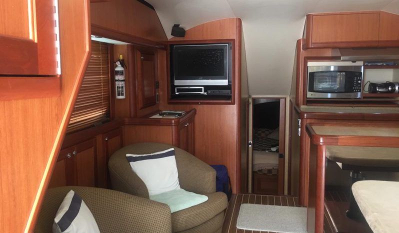 
								LUHRS 41 full									