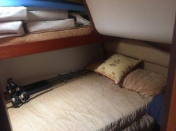 
										LUHRS 41 full									