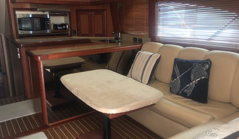 
								LUHRS 41 full									