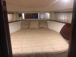 
										SEA RAY SEDAN BRIDGE 58 full									