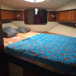 
										CRUISERS YACHTS 340 EXPRESS 34 full									