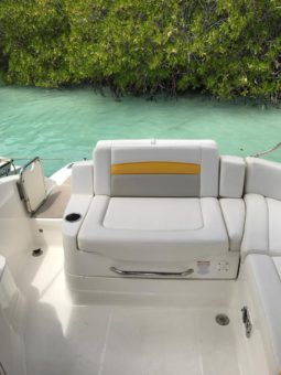 CHAPARRAL SUNESTA 23.2 full