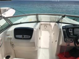 CHAPARRAL SUNESTA 23.2 full