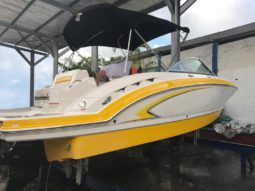 CHAPARRAL SUNESTA 23.2 full