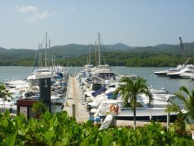 ACCION Y PUESTO CARENERO YATCH CLUB EN AGUA 42 PIES