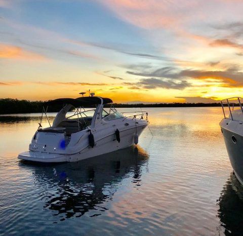 
								SEA RAY SUNDANCER 280 EXPRESS 28 full									