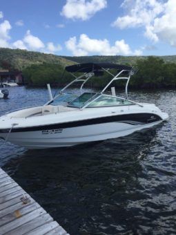 
										CHAPARRAL SSI 23.6 full									