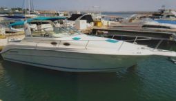 
										SEA RAY SUNDANCER 30 full									