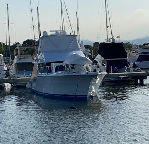 
								HATTERAS SPORT FISHERMAN 50 full									