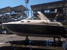 SEA RAY SUNDANCER 29
