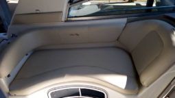 SEA RAY SUNDANCER 29 full