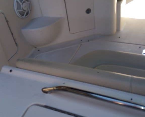 SEA RAY SUNDANCER 29 full