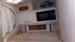 SEA RAY SUNDANCER 29 full