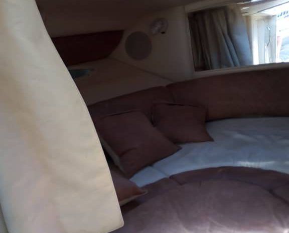 SEA RAY SUNDANCER 29 full