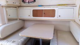 SEA RAY SUNDANCER 29 full