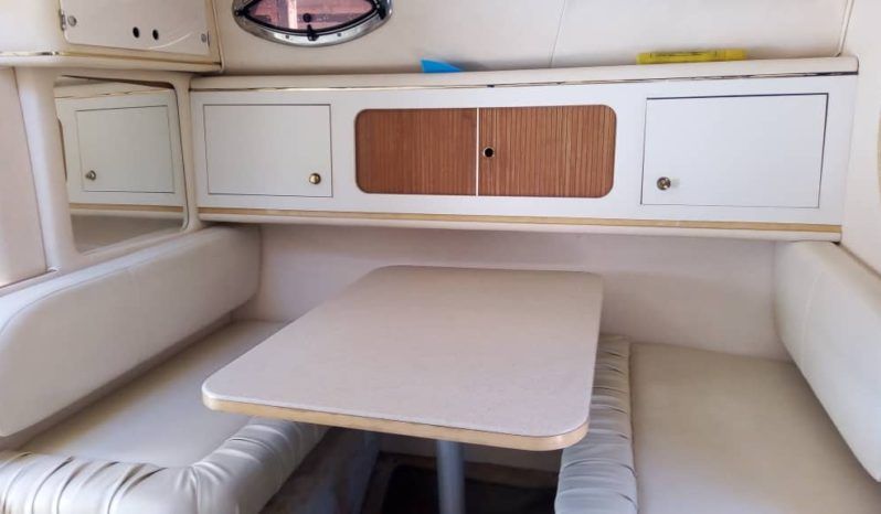 SEA RAY SUNDANCER 29 full