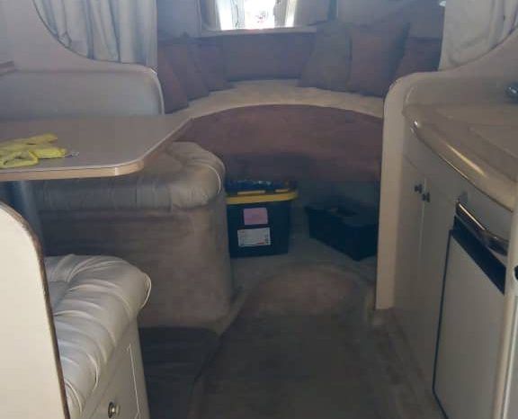 SEA RAY SUNDANCER 29 full