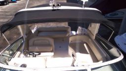 SEA RAY SUNDANCER 29 full