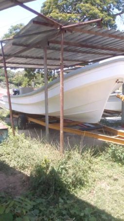 PEÑERO TROMPA DE BALLENA 27 full