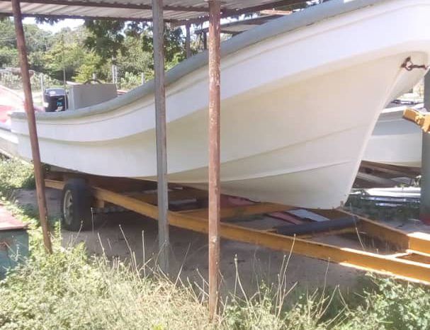 PEÑERO TROMPA DE BALLENA 27 full