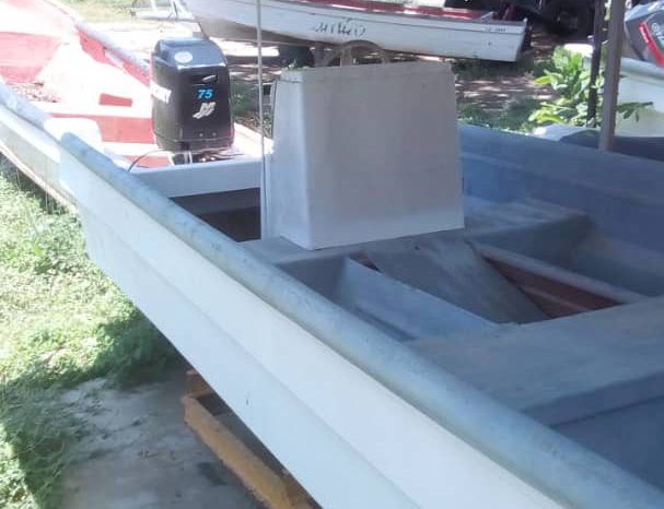 PEÑERO TROMPA DE BALLENA 27 full