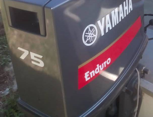 PEÑERO TROMPA DE BALLENA 27 full