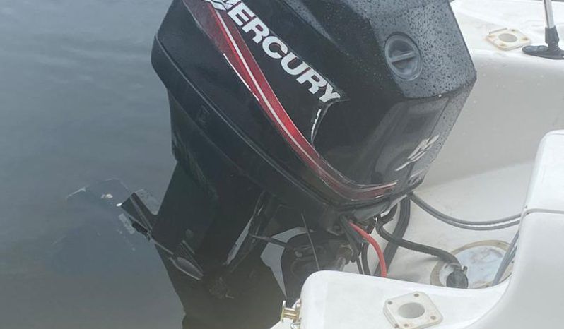 
								DINGHY CARIBE 15 full									