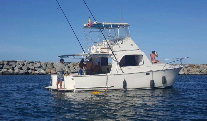 
								HATTERAS FISHER MOTOR YACHT BOAT CONVERTIBLE 36 full									