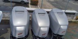 
										PROMARINE SRS 38 full									
