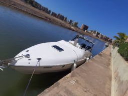 
										SANTOS SPORT 33 full									