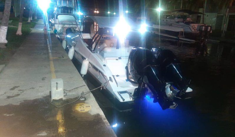 
								SANTOS SPORT 33 full									