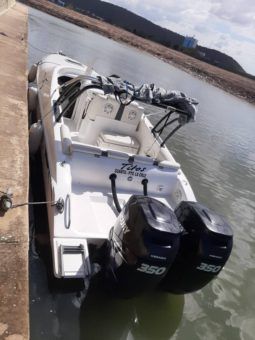 
										SANTOS SPORT 33 full									