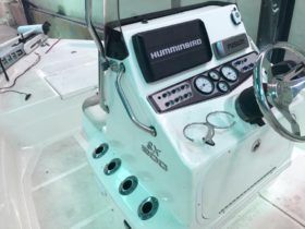 SKEETER SALTWATER SX210 21