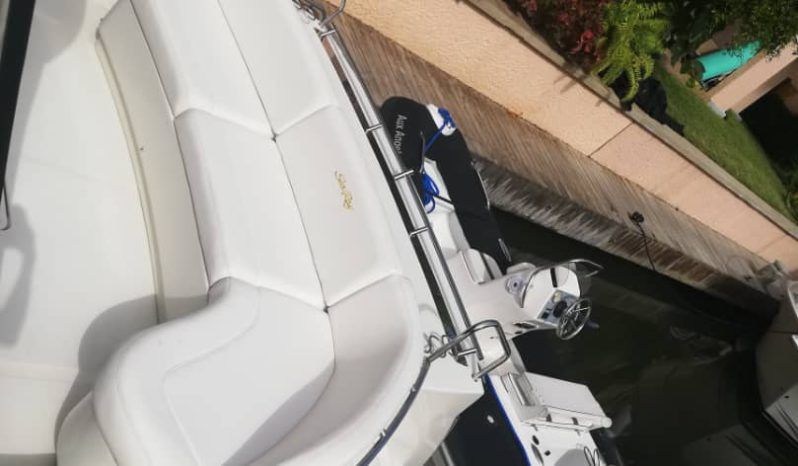 
								SEA RAY SUNDANCER 55 full									