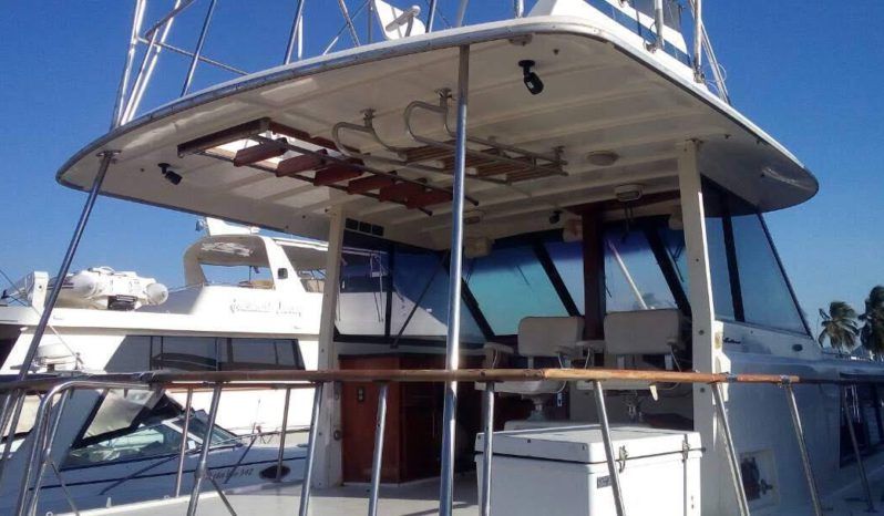 
								HATTERAS MOTOR YATCHS 43 full									