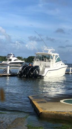 
										BOSTON WHALER CONQUEST 34.5 full									