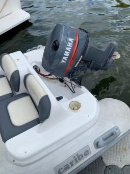 
										DINGHY CARIBE DL 11 full									