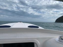 
										AQUABOATS MAGNA 35 full									