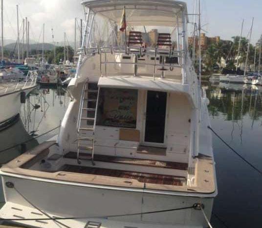 
								BERTRAM CONVERTIBLE 57 full									