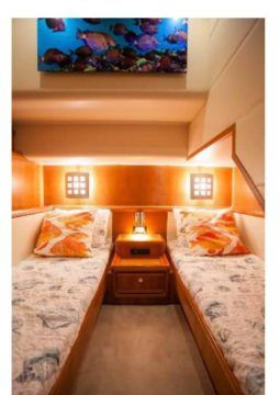 
										BERTRAM CONVERTIBLE 57 full									