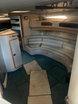 
										SEA RAY SUNDANCER 44 full									