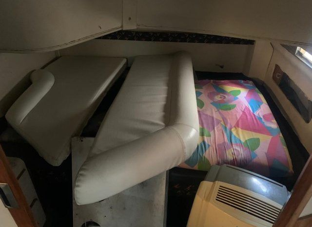 
								SEA RAY SUNDANCER 44 full									